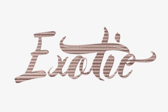 Exotic Lettering Embroidery Review for Boutique Sweatshirts